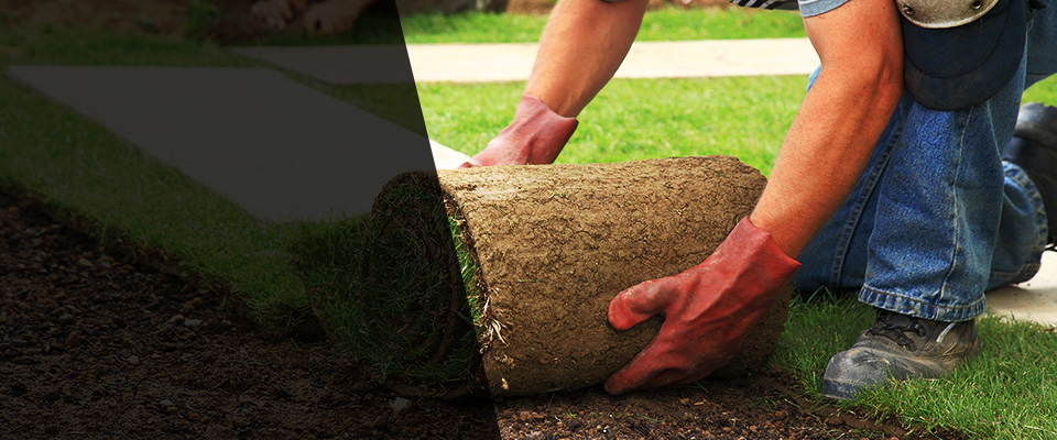 Syosset Landscapers